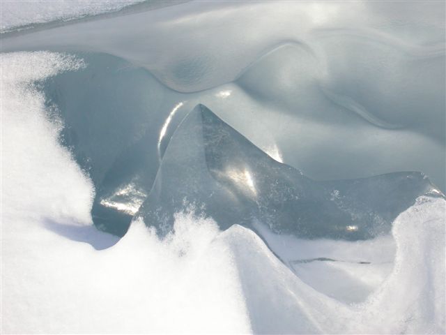 antarctica
